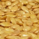 nutritional neuroscience, flax seeds, omega-3 fatty acids