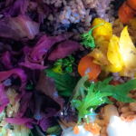 Rainbow Salad Plate - Macrobiotic Recipes